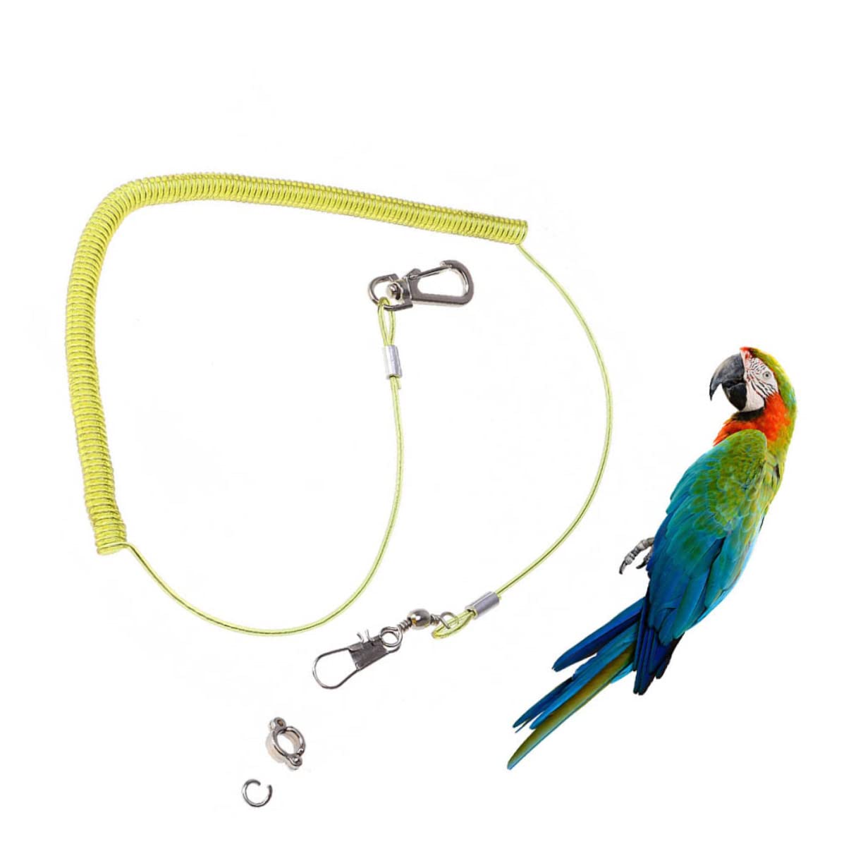 BESPORTBLE 10m Bird Leash Harness Parrot Training Rope Parrot Harness Leash for Training Random Color