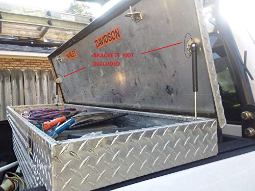 Apexstone 200N/45Lb Gas Struts, Gas Shocks, Gas Springs, Gas Strut Lift Support 200N Hinge, Lid Stay, Set Of 4 #TOP7