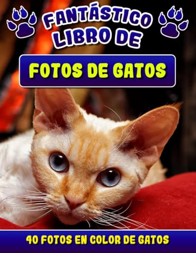 Libro de Fotos de Gatos: Hermosas Imágenes de Gatos y Gatitos | Fotolibro Relajante para Niños, Adultos y Personas Mayores con Alzheimer o Demencia