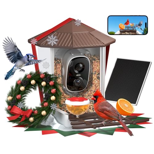wansview Bird Feeder with Camera-Smart Bird Feeders for Outdoors Solar Powered, Birdhouse with Cam & Instant Alert, 2K Live Video, AI Identify Species, Ideal Gift for Tech Lovers, F1, Brown, 2.4G WiFi