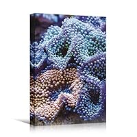 SIGNWIN Canvas Wall Art Pink, Blue, Green and Purple Ricordea Mushroom Coral Underwater Marine Life Ocean Realism Beach Closeup Colorful Neon for Living Room, Bedroom, Office - 12x18 inches