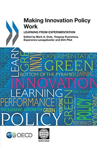 Making innovation policy work: learning from experimentation view 2