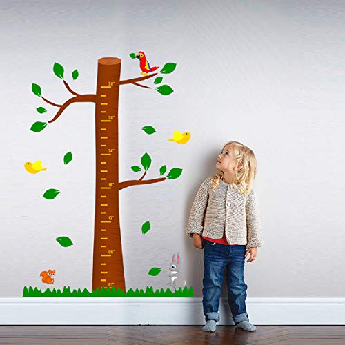 Buy Height Chart Wall Sticker for Kids I Height Measurement Scale for Kids I Height Sticker for