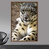 Framed Canvas Wall Art Cheetah Animals Cheetah Dramatic Living Room Multicolor Photography - 16x24 inches