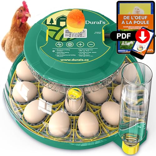 Dural's DX5® | Couveuse œuf automatique | Professionnel & Haute Précison | Certifiée CE | Contrôle de la Température & Humidité | Oeufs de Poule, Caille, Canard |...