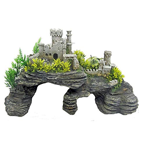 Amtra Wave Castello su Rocce L