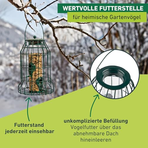 Windhager Vogelfuttersilo mit Räuberschutz, Vogelhaus, Futterhaus für Vögel, Vogelhäuschen, Vogelfutterstation zum Aufhängen, Vogel-Silo, 06514, Anthrazit