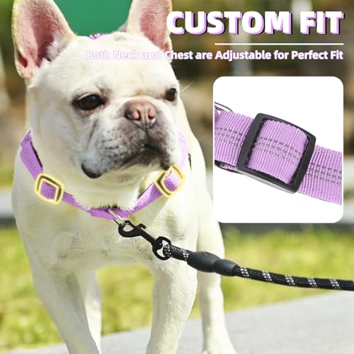 Image of PUPTECK No Pull Dog Harness Small Sized Dog, Adjustable Reflective Pet Vest Harness with Bungee Handle, Escape Proof No Choke Harness for Small Dogs Walking Training, Purple M