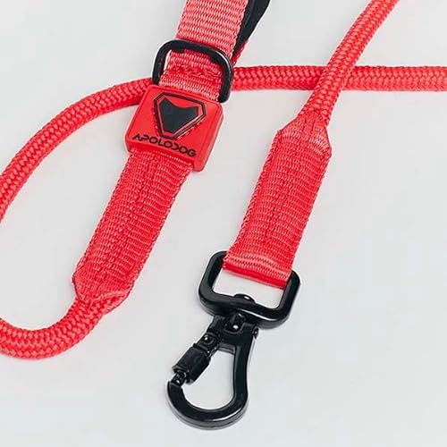 Guia Longa 2,5 Metros para Cães, Alça Confortável Forrada, Corda Maleável, Mosquetão Resistente 150k