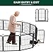 FXW Rollick Unleashed Dog Playpen for Indoor, Yard, RV Camping, 24 inch 8 Panels for Small and Puppy Dogs, Black│Patented