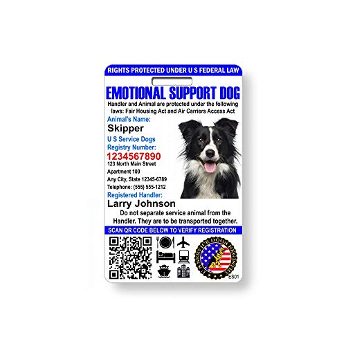 Top 10 Best Four Paws Harness For Dogs 2021 Pirate Press