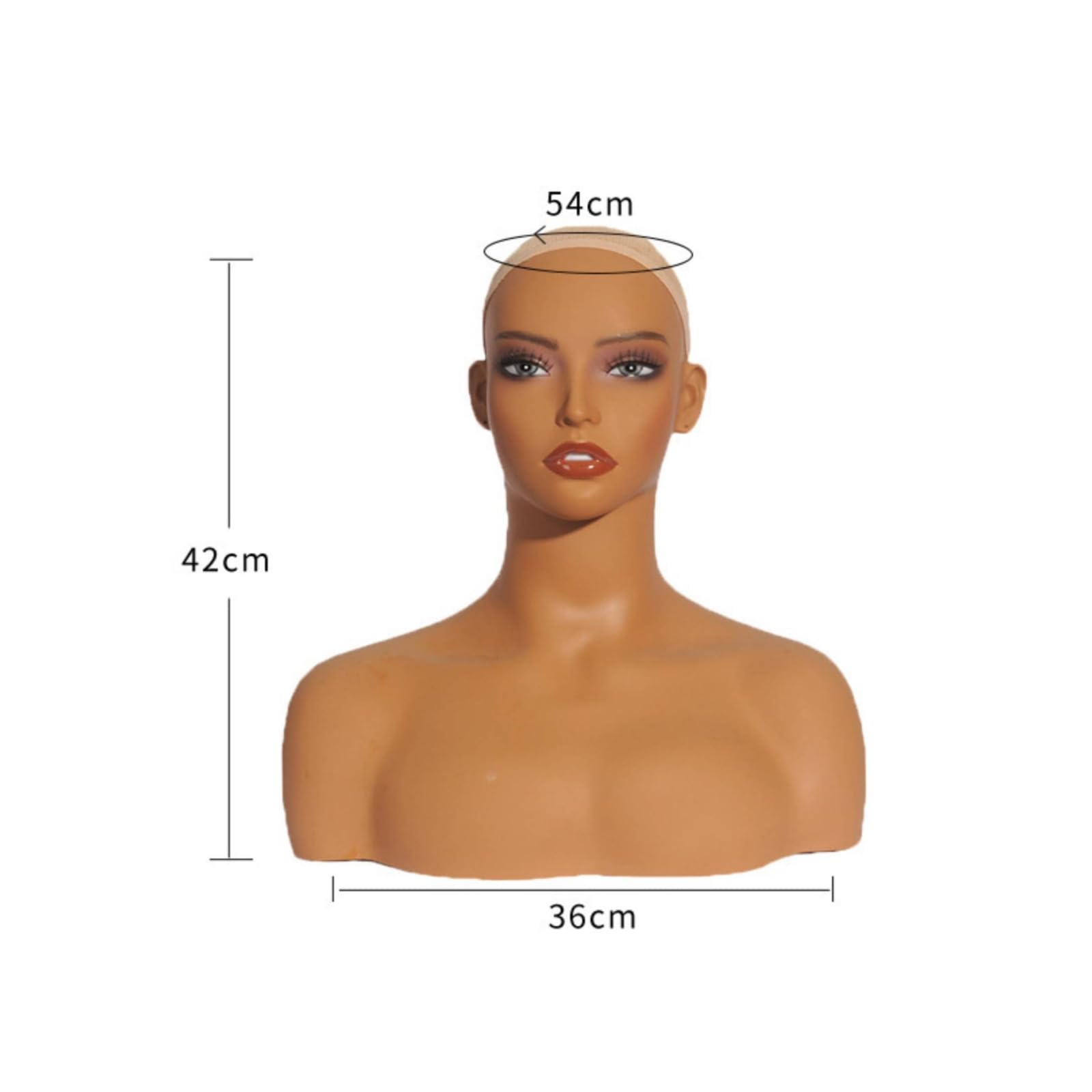 predolo Testa di Manichino con Spalle Realistico Testa Espositiva in PVC Professionale Espositore per Operatori Fotografici, Negozi