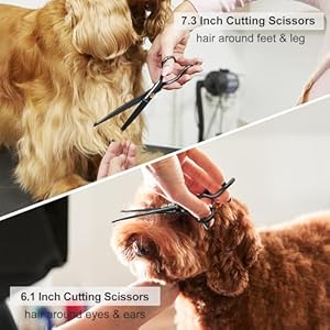 Ciicii Dog Grooming Scissors Kit 10in1 Professional Pet Grooming Scissors Set with Safety Round Tip dogscat Hair Cutting Trimming Thinning Shears with Curved Scissors for Diy Home Salon black  Cucciolini Doodles Ciicii dog grooming scissors kit 10 in 1 professional pet grooming scissors set with safety round tip dogscat hair cutting trimming thinning shears with curved scissors for diy home salon black   cucciolini doodles