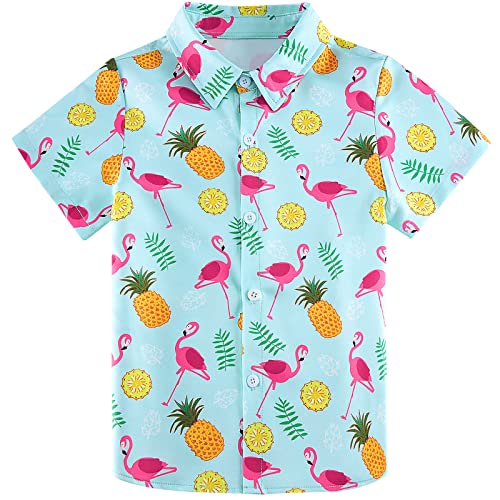 Little Boy's Button Down Pineapple Shirts Short Sleeve Aloha Kids Hawaiian Shirt Flamingos Novelty Graphic Pattern Tee Beach Party Blue Blouses T Shirt Top 3-4 Years Old #TOP6