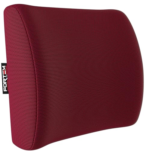 FORTEM Cuscino Lombare Sedia Ufficio, Cuscino Lombare Auto, Supporto Schiena Sedia Gaming, Cuscino Ergonomico, Cuscino in Memory Foam, Cuscino per Sedia da Scrivania, Fodera Traspirante e Lavabile