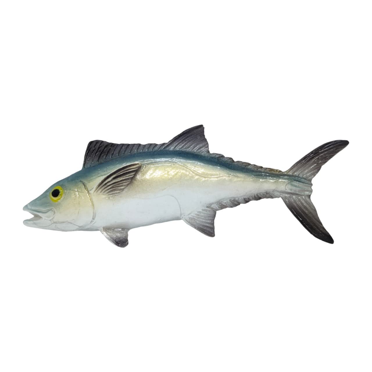 WitnyStore 3¾" Long Dogtooth Tuna Fish 3D Resin Fridge Magnet Dog Tooth Bonito Sea Fishes and Marine Mammal Aquatic Life Animals Refrigerator Magnets Decorative Collectibles