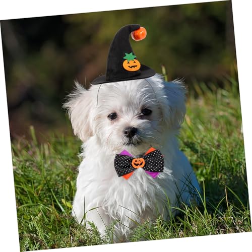Accessoire forme de chapeau de citrouille pour chat et chien