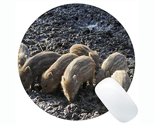 YENDOSTEEN Animal Art Mousepad, Little Pig Impreso con un Adorable Little Pig