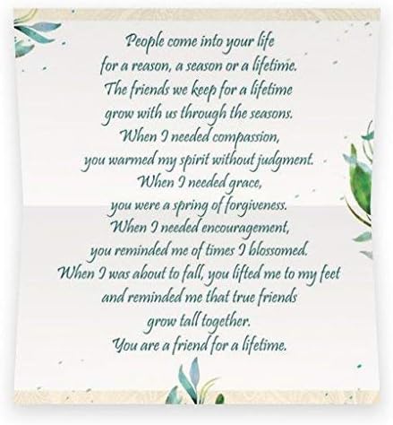 Miniatura 6 de Smiling Wisdom - Amistad - Tarjeta de felicitación y collar de hojas para amigos de por vida de una temporada de razones - Creciendo juntos -