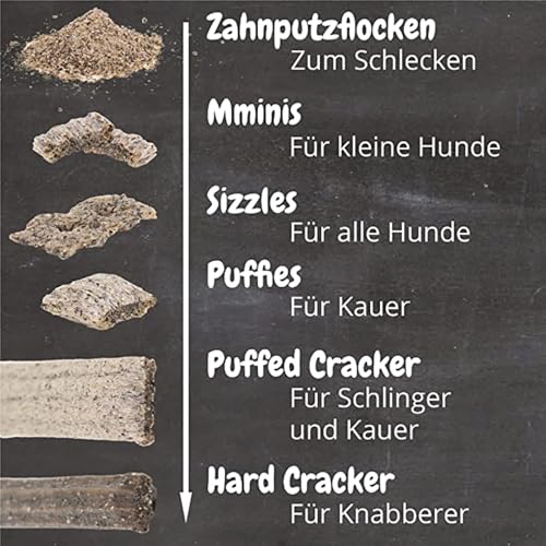 QCHEFS Geburtstagsbox| Hundegeburtstag| Hund Geburtstag Geschenk| Hunde Geburtstagsgeschenk| Natur schenkt gesunde Zähne| Zahnpflege-Snack| Hüttenkäse Kauknochen| Mundgeruch & Zahnstein Weg!