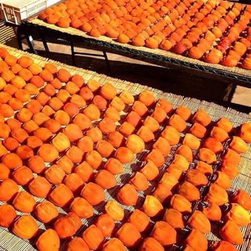 厳選!山梨県甲州市産 ころ柿 枯露柿 甲州百目 中2号箱 約800g[2026年度発送](THR)B13-811