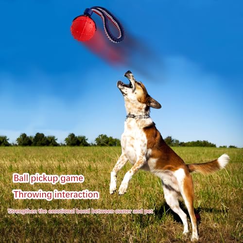 ViVNiK Spielzeugkugel werfen ，Hundespielzeugball, Hundespielzeugball mit Seil, interaktives Haustierspielzeug, Hundeballspielzeug aus Seil, Wurfspielzeugball, große (CQ-H)