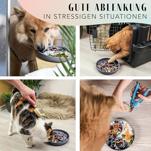 ne&no® Anti Schling Napf für Hunde und Katzen I Slow Feeder I Leckmatte Hund mit großem Saugnapf I Schleckmatte Katze für Nassfutter und Trockenfutter (Grey Blue)