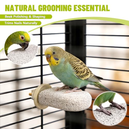 Image of 4 Pcs Lava Ledge Bird Perch Platform Set for Cages | Fits Small /Medium Parrots (Budgies, Conures) | Volcanic Calcium Stone for Beak Grinding & Claw Trimming | Tool-Free Mount