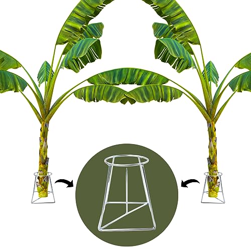 Amazon.in Bestsellers The most popular items in Plant Accessories