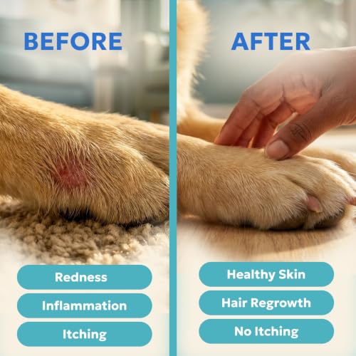 Image of Forticept Blue Butter - Hot Spot Treatment for Dogs Cats | Dog Cat Wound Care | Skin Yeast Infections, Ringworm, Cuts, Rashes, First Aid Veterinary Strength Anti Itch Cream 4oz