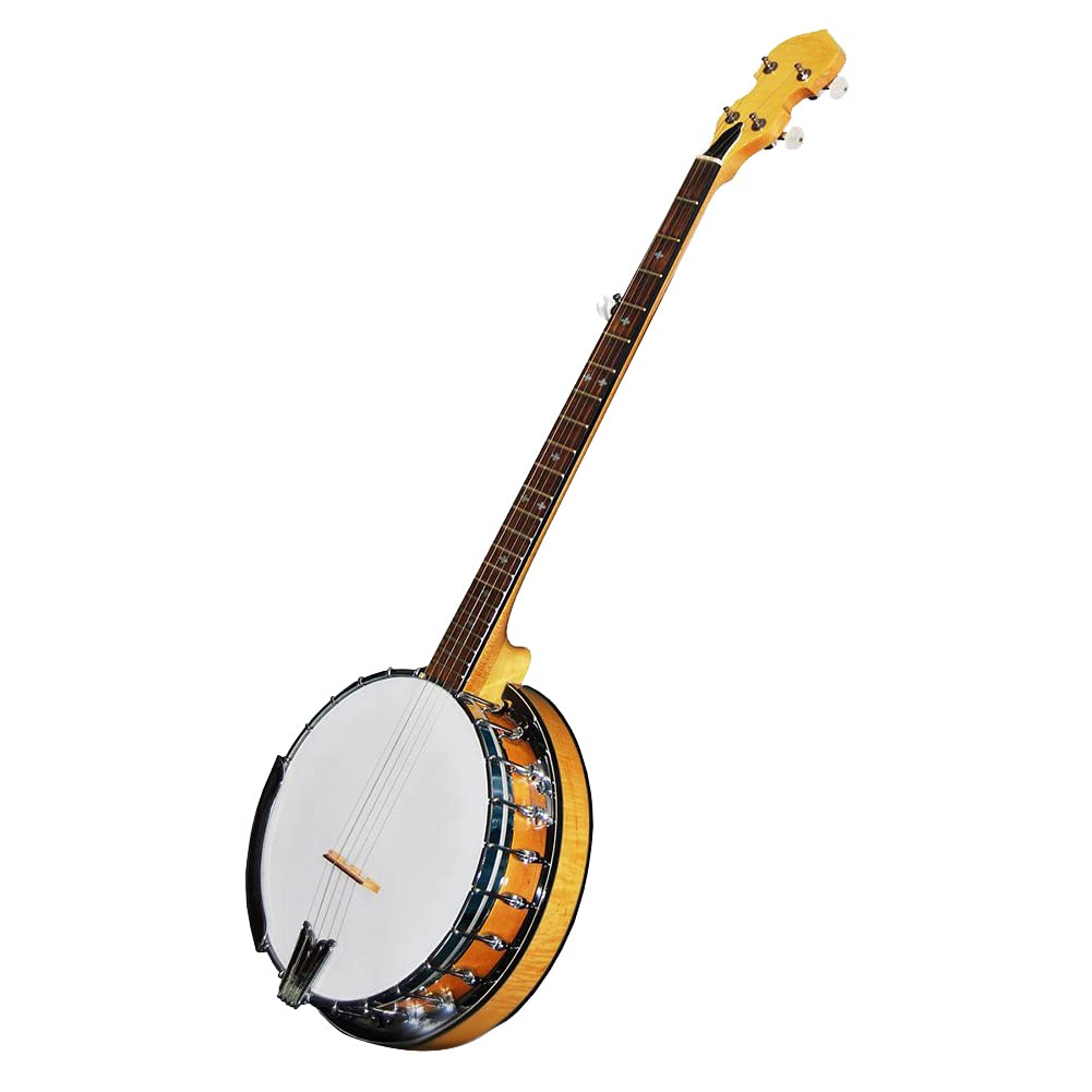 Amazon | Swagell バンジョー コード チャート バンジョー練習コード