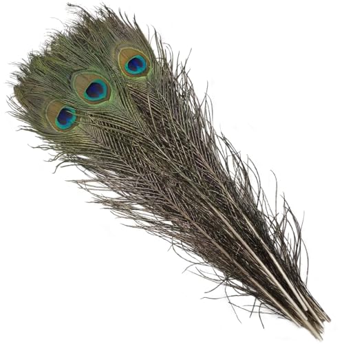 Natural Peacock Feathers 16-18Inch for Home Decor Flower Arrangement Centerpieces Vases Decorations Costumes Hats Crafts Christmas Tree Ornament (10pcs - Upgrade)