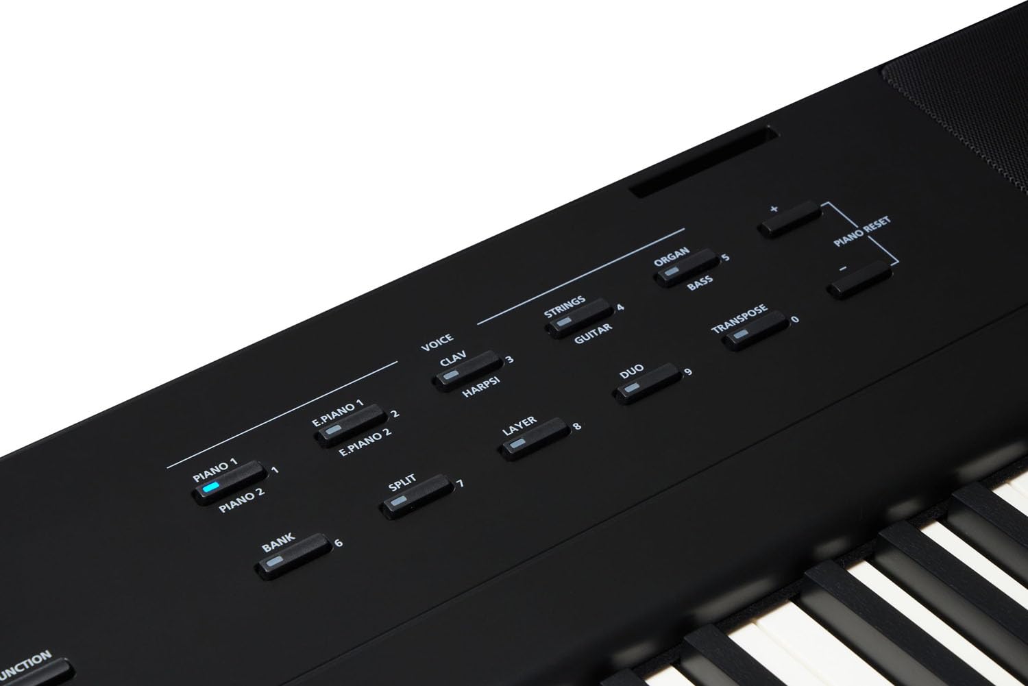 Kurzweil KAE1-LB Stage Piano Keyboard Nero 88 tasti + supporto keepdrum tastiera