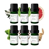 Set 6 X 5ml oli essenziali AMYRON per aromaterapia, Niauoli, Pompelmo, Chiodi, Menta, Legno di cedro, Patchouli. Ideale Per Diffusore- Massaggi.