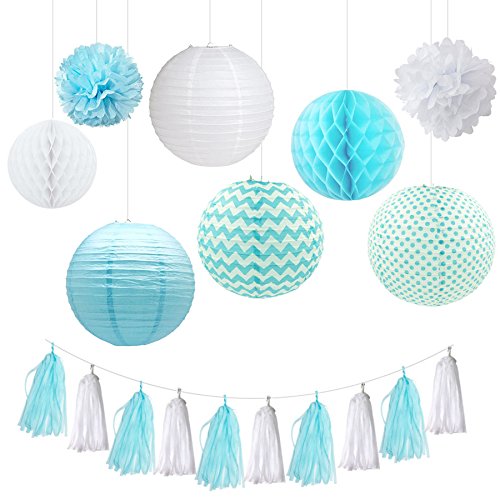 Fascola 18 Pcs White Baby Hanging Paper Lantern Paper Honeycomb Ball Pom Pom Flower Ball Tassel Garland for Wedding Birthday Kids Party Decor Set (White and Baby Blue)