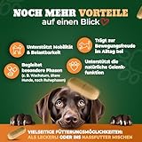 NATIVIVO Gelenktabletten Hund - Grünlippmuschel Hund - Gelenkkomplex Vital Rezeptur mit Weihrauch Teufelskralle & MSM - Grünlippmuschel Kapseln - Unterstützt Gelenke & Beweglichkeit Made in Germany