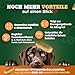 NATIVIVO Gelenktabletten Hund - Grünlippmuschel Hund - Gelenkkomplex Vital Rezeptur mit Weihrauch Teufelskralle & MSM - Grünlippmuschel Kapseln - Unterstützt Gelenke & Beweglichkeit Made in Germany