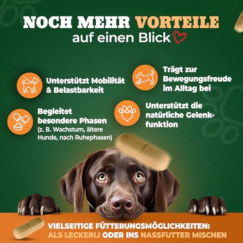 NATIVIVO Gelenktabletten Hund - Grünlippmuschel Hund - Gelenkkomplex Vital Rezeptur mit Weihrauch Teufelskralle & MSM - Grünlippmuschel Kapseln - Unterstützt Gelenke & Beweglichkeit Made in Germany