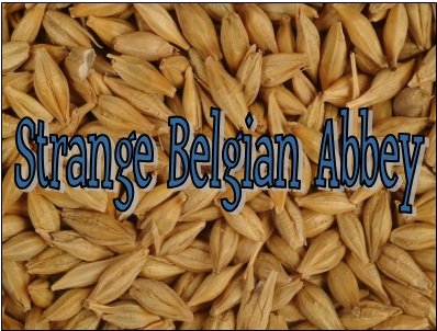 Strange Brew Advanced All Grain Home Brew Beer Ingredient Kit: Belgian Abbey