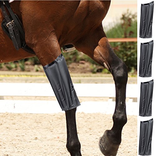 Sohler By Eurotrade W Ltd Set Of 4 Black Horse Knee Patella Support Brace Sleeve Wrap Cap Stabilizer Sports Hot And Cold Pack Leg Bandage Bands