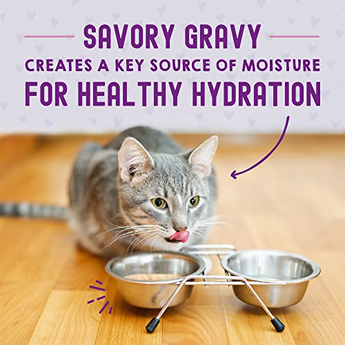 Stella & Chewy'S CAT-CC-CCLM-2.8-TRAY Stella & Chewy’S Carnivore Cravings Morsels & Gravy Chicken & Chicken Liver Recipe Wet Cat Food Pouches thumb #6