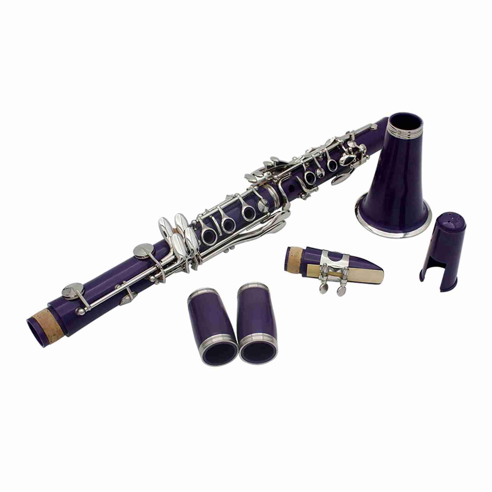Eacam Clarinete B Plano, Instrumento de Viento de Madera ABS 17 Teclas con Estuche 10 Cañas, Paño Limpieza, Destornillador para Estudiantes Principiantes y Músicos (purple)