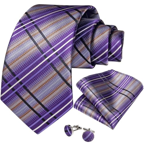 Corbata de seda para hombre con set y accesorios