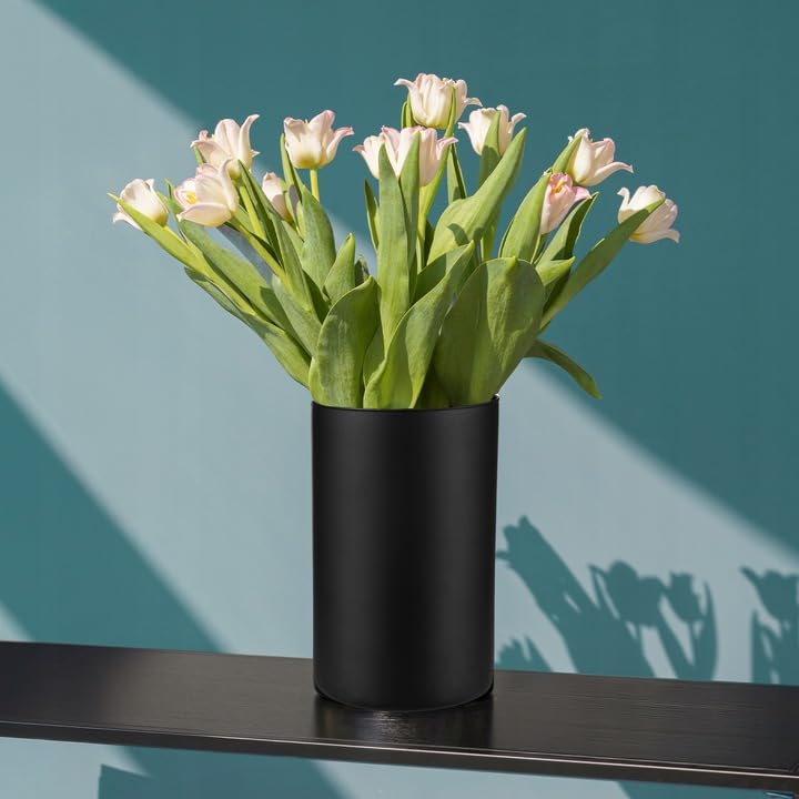 Trend for Home Bloemvaas H: 29,5 cm Transparante Glazen Vloervaas voor Bloemen Conisch Hoog Vloerstaand Groot voor Pampasgras Woonkamer Decor, 16 cm, Alyssa Trend for Home Bloemvaas H: 29,5 cm Transparante Glazen Vloervaas voor Bloemen Conisch Hoog Vloerstaand Groot voor Pampasgras Woonkamer Decor, 16 cm, Alyssa