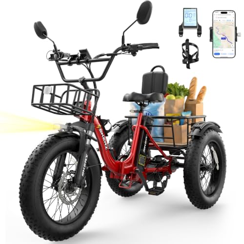 Skeri Electric Tricycle for Adults, 750W(Peak 1350W) Motor Etrike, 20"x4"