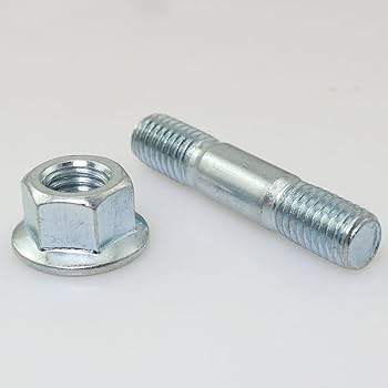 cheesenuts 08、15、55、58、62、65 cheesenuts 08、15、55、58、62、65 DAVID Seeds Sunflower