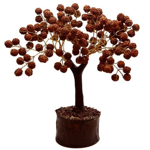 Rudraksha Tree (Rare) Kitchen Gradening Seed Seed For Planting - 5 (B0B8DGDFG8) Amazon Price History, Amazon Price Tracker