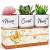 Housewarming Gifts for New Home, Home Sweet Home White 3.5 Inch Ceramic Succulent Pots with Bamboo Tray, Best Gifts for…