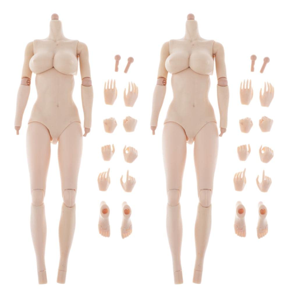 1/6 シームレスフィギュア　骨格入り Amazon | Milageto 2セット 1/6 フィギュア ボディ 人体モデル