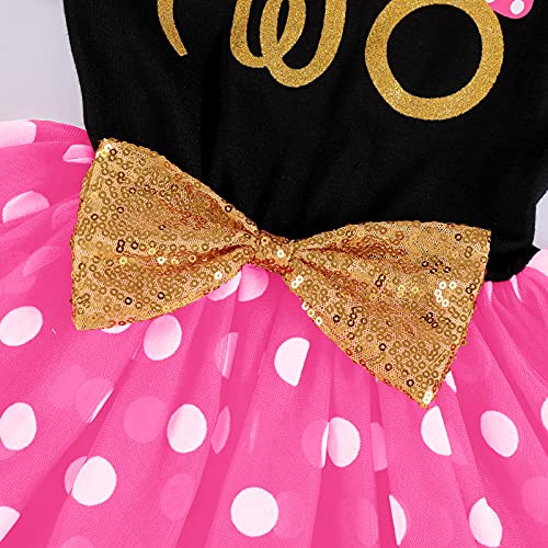 IMEKIS Baby Girls Mouse 1st 2nd Birthday Dress Polka Dots Tulle Tutu Cake Smash Summer Party Photo Props4